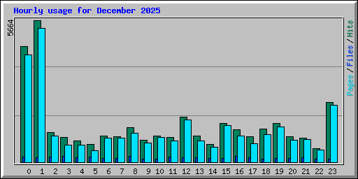 Hourly usage for December 2025